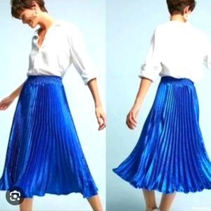 NWOT Anthropologie HD in Paris Gemma Pleated Skirt
